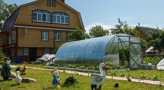 Jaki tunel ogrodowy wybrać?