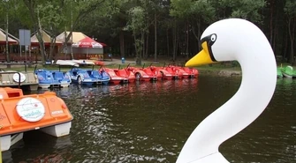 Kronika Trybunalska: Antyszczepionkowcy nie tracą nadziei