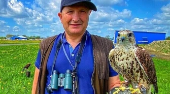 Sokoły na lotnisku w Piotrkowie (zdjęcia)