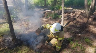 Dzieci zapobiegły pożarowi lasu