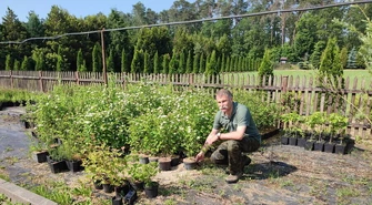 100 tysięcy drzew na 100-lecie województwa