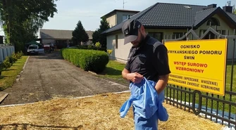 ASF w Kruszowie. Do pomocy wysłano więźniów