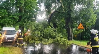 Połamane drzewa po nawałnicach