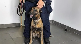 Psi nos pomógł zlikwidować narkotykową działalność