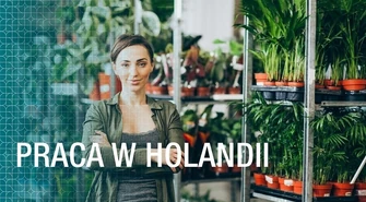 Praca w Holandii &#8211; Czy warto wyjechać?