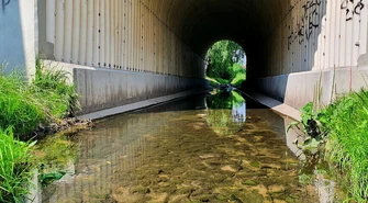Czy piotrkowskie rzeki mogą zalać nasze miasto?