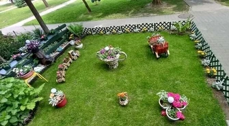 Niecodzienne widoki w centrum miast