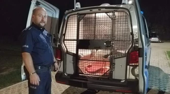 Policjanci uratowali rannego bociana