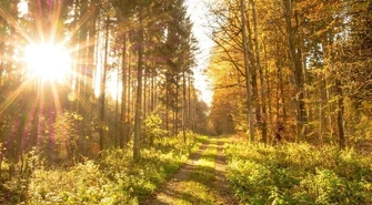 Pogoda na weekend. Czy coś się zmieni?
