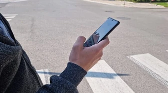 Wchodzą na pasy jak święte krowy?