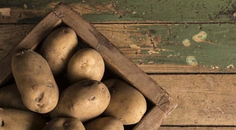 Święto Ziemniaka w Brzustowie