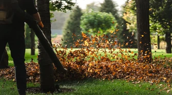 Nie zbierzesz, zapłacisz stówę