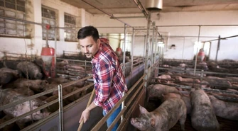 Duży kłopot hodowców z powiatu piotrkowskiego