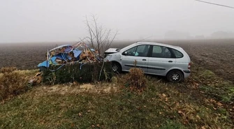 Lis wbiegł na drogę. Renault wjechało w kapliczkę