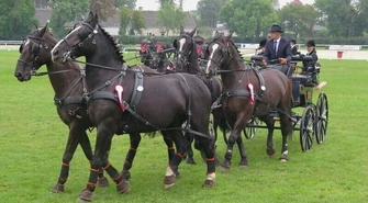 Będą powozić w Bogusławicach