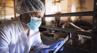 Laboratorium do walki z ASF nadal wyłącznie w planach