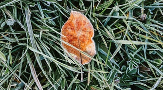 Nadchodzi zimowy weekend?