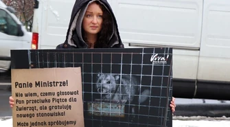 Politycy, gdzie obiecany zakaz hodowli zwierząt na futro?