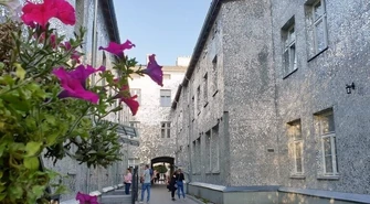 Wyjątkowe podwórko z milionami lusterek