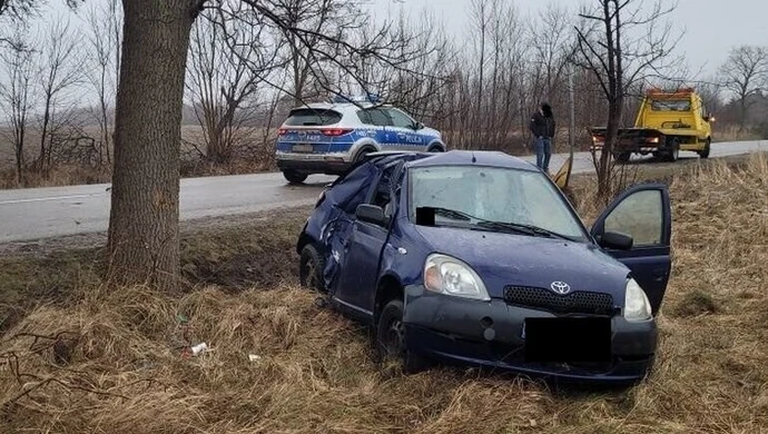 Uderzyła w drzewo, zapłaci 1,5 tys. zł