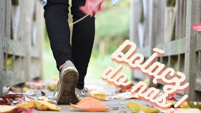 Chcesz pomóc? Chodź na spacer!