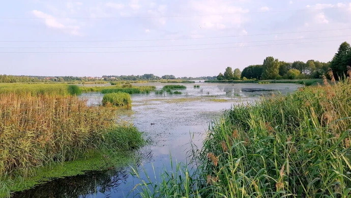Miejsce, w którym król ryby łowił