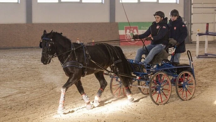 Kolejne zmagania w powożeniu