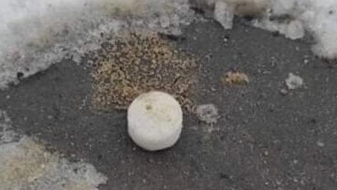 Tajemnicze białe tabletki w Piotrkowie. Kto je rozrzuca?