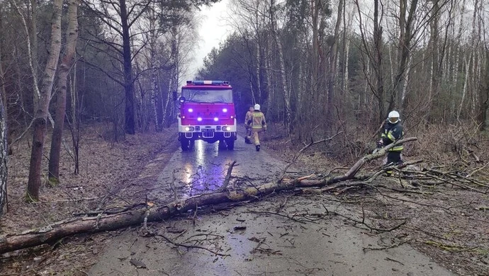 Sprzątanie po Nadii zakończone