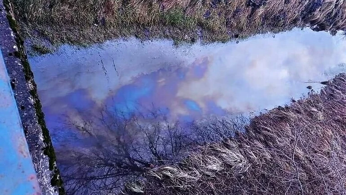 Zanieczyszczenie w jednej z piotrkowskich rzek