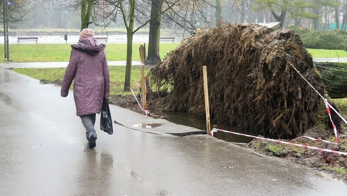Park zdewastowany, posprzątać nie można