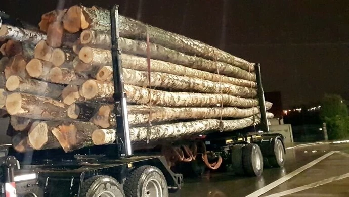 Przeładowane ciężarówki w Piotrkowie