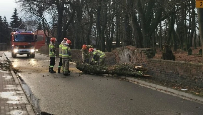 Powalone drzewa, przewrócone samochody i brak prądu