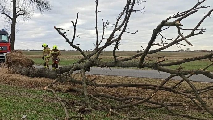 Kolejne zniszczenia. Silny wiatr wciąż groźny