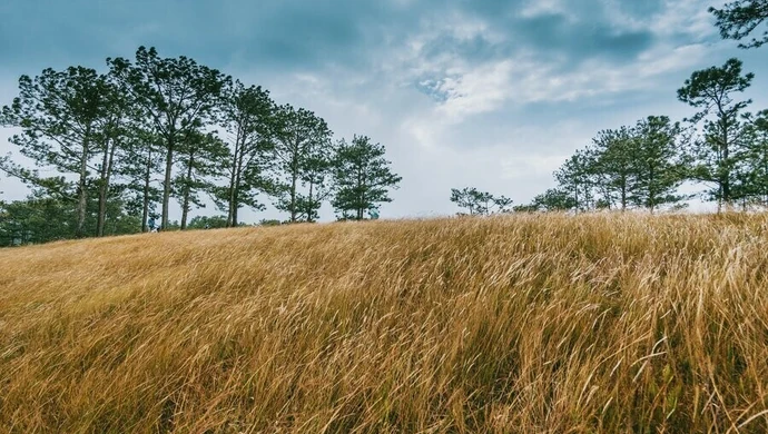 W poniedziałek znów mocniej powieje