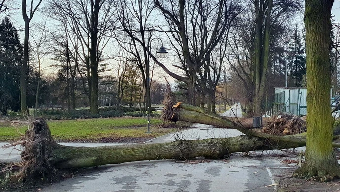 Można przesunąć, ale nie usunąć. Trudno to zrozumieć