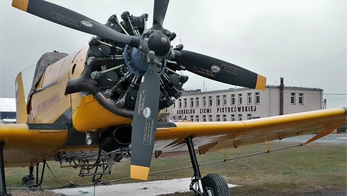 Dromadery ochronią piotrkowskie lasy