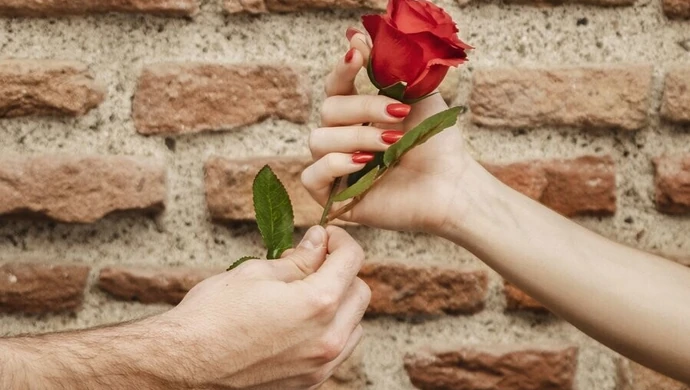 Wręczył kwiat, zabrał torebkę