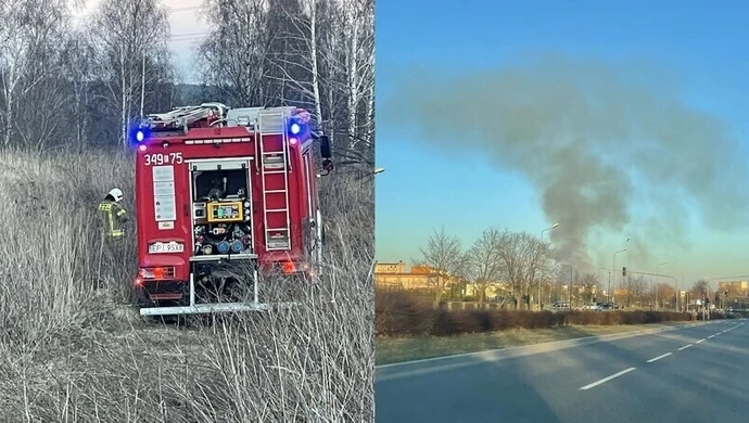 Paliły się torfowiska w Piotrkowie