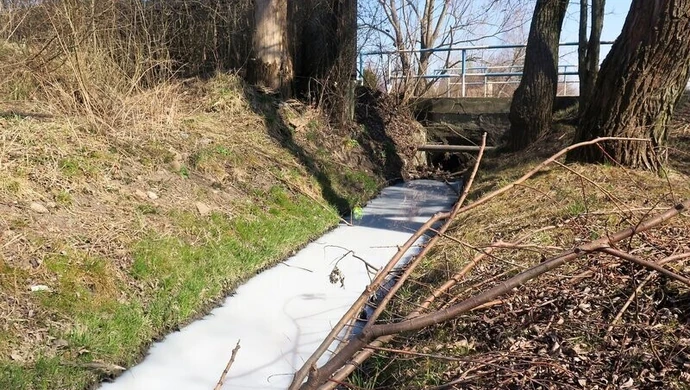 Rzeka pełna mleka w Piotrkowie?