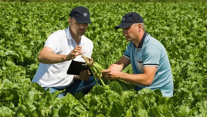 Dodatkowe 1000 zł premii za hektar