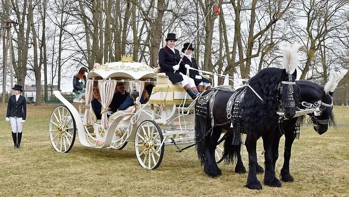 Zorganizowali dzień otwarty w bajecznym stylu