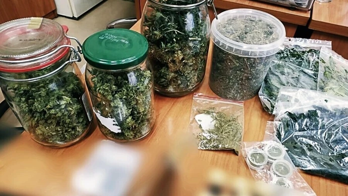 Ponad 650 gramów i domowa uprawa