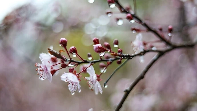 Jaka pogoda na Święta?