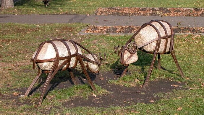 Zwierzęta z kamienia w centrum Piotrkowa
