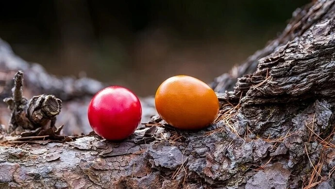 Wielkanocne tradycje na ziemi piotrkowskiej