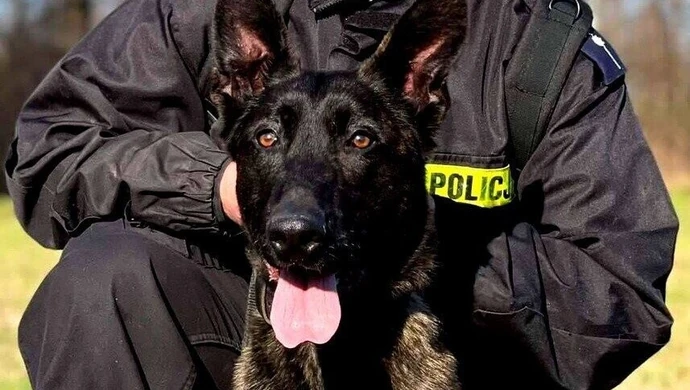 Maks pomoże piotrkowskim policjantom