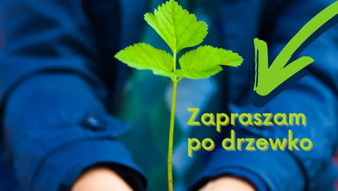 Akcja rozdawania drzewek, tym razem w Rozprzy