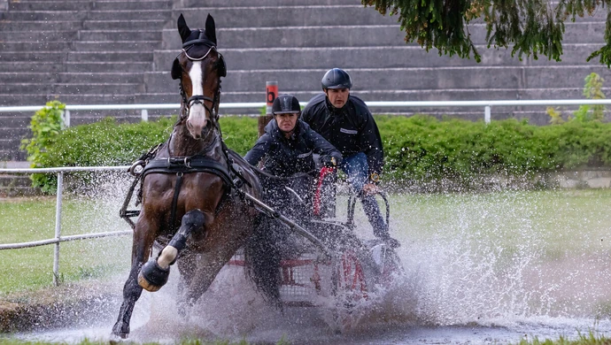 Powozili w Stadzie Ogierów w Bogusławicach [ZDJĘCIA]