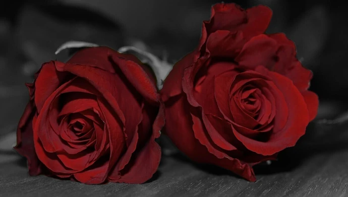 Gala, nagrody i podziękowania. Zapraszamy już w piątek